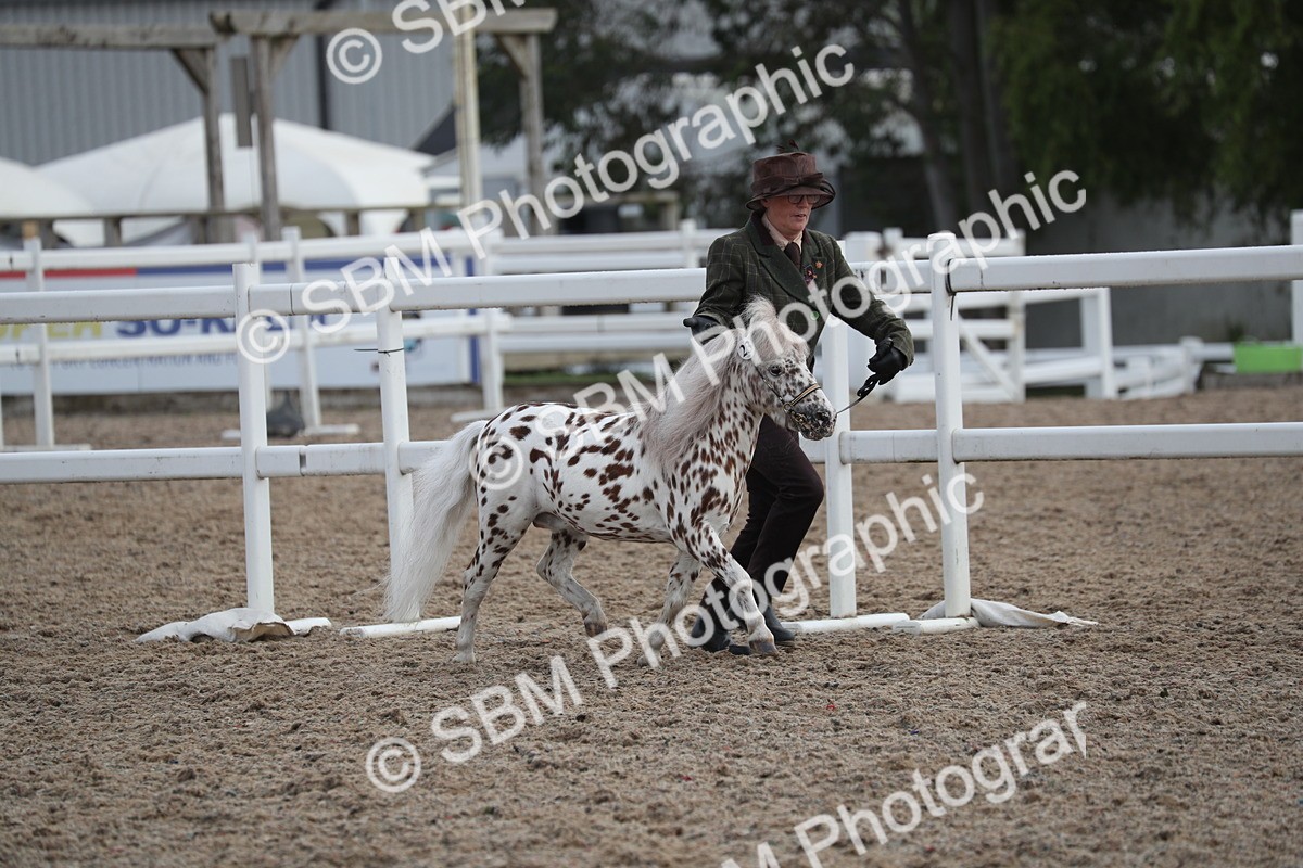 SBM_23070 - Class 605 - 2025 Area - IH Veteran