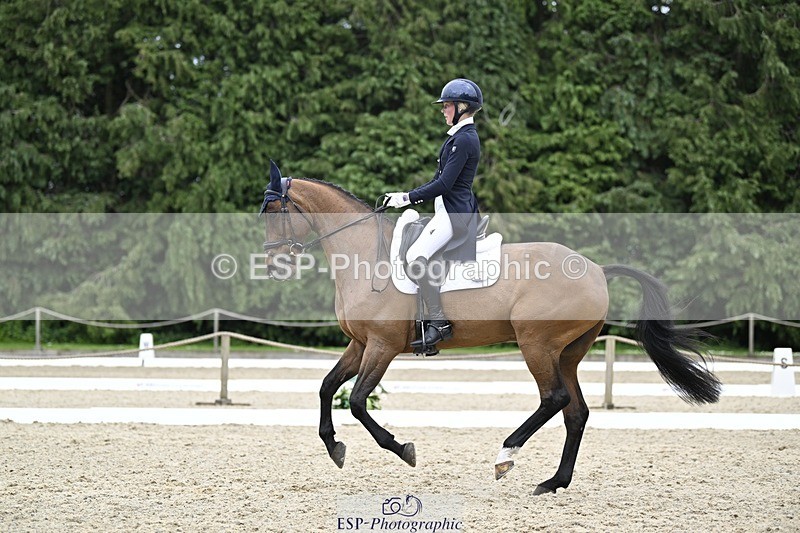 240523-145233-05126 - 442-FERNHILL_ZORO-Cassie_Sanger