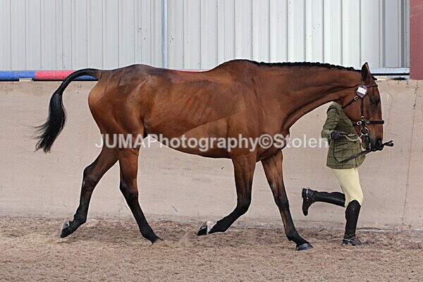 SIAL9803 - Indoor Classes