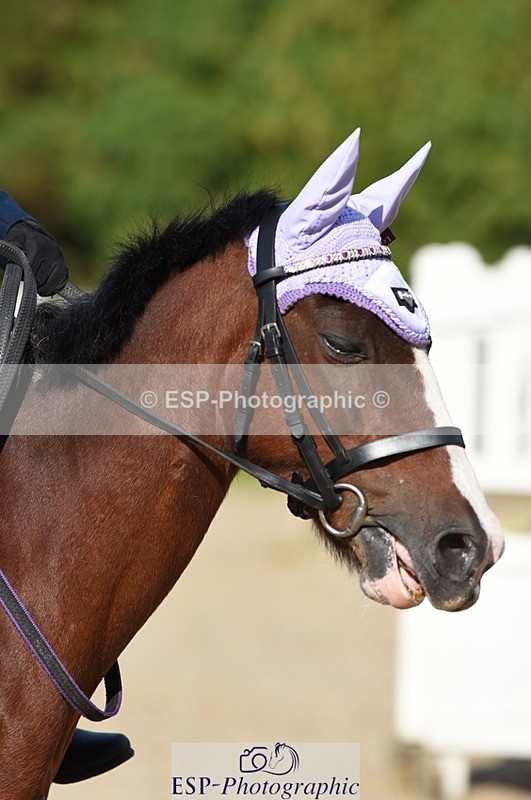 230824-165546-06209 - Round 1 Assisted 16.20 to End