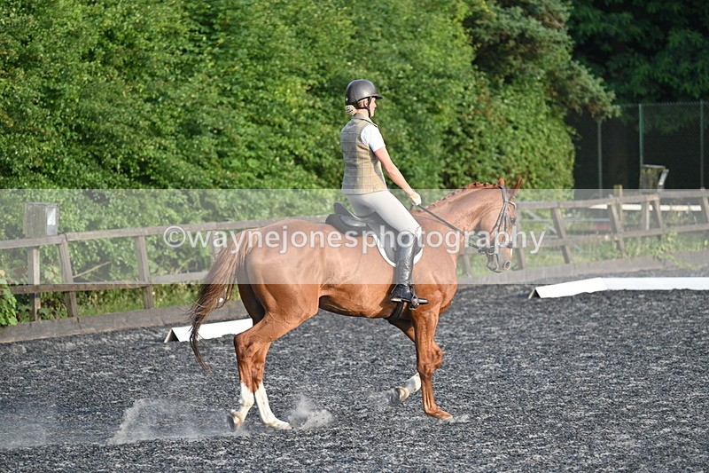 WJ7_0380 - Time 19:38 to 20:00