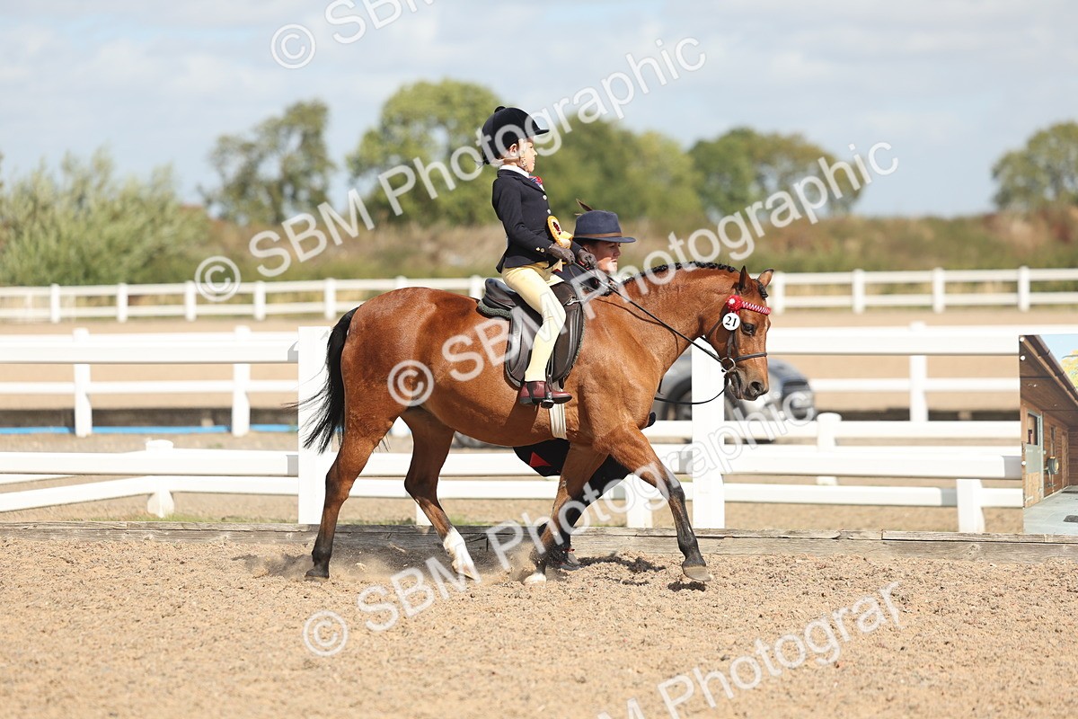 SBM_23199 - Class 806 - Young Rider 10ry and Under