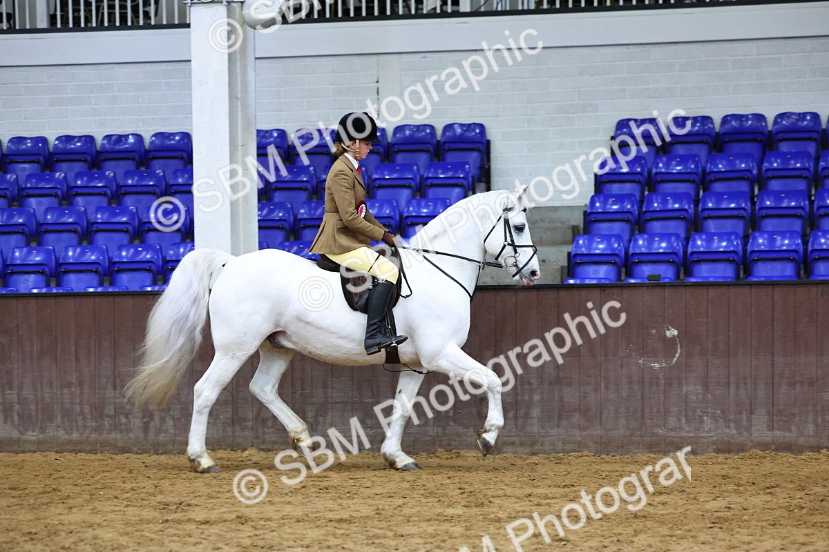 SBM_005583 - M&M Novice WHP Championship