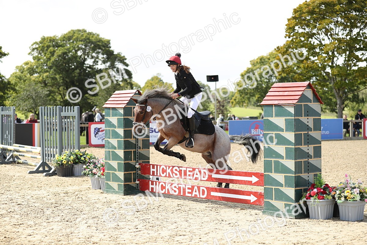 SBM_05652 - J35 - Veteran Rider 60cm