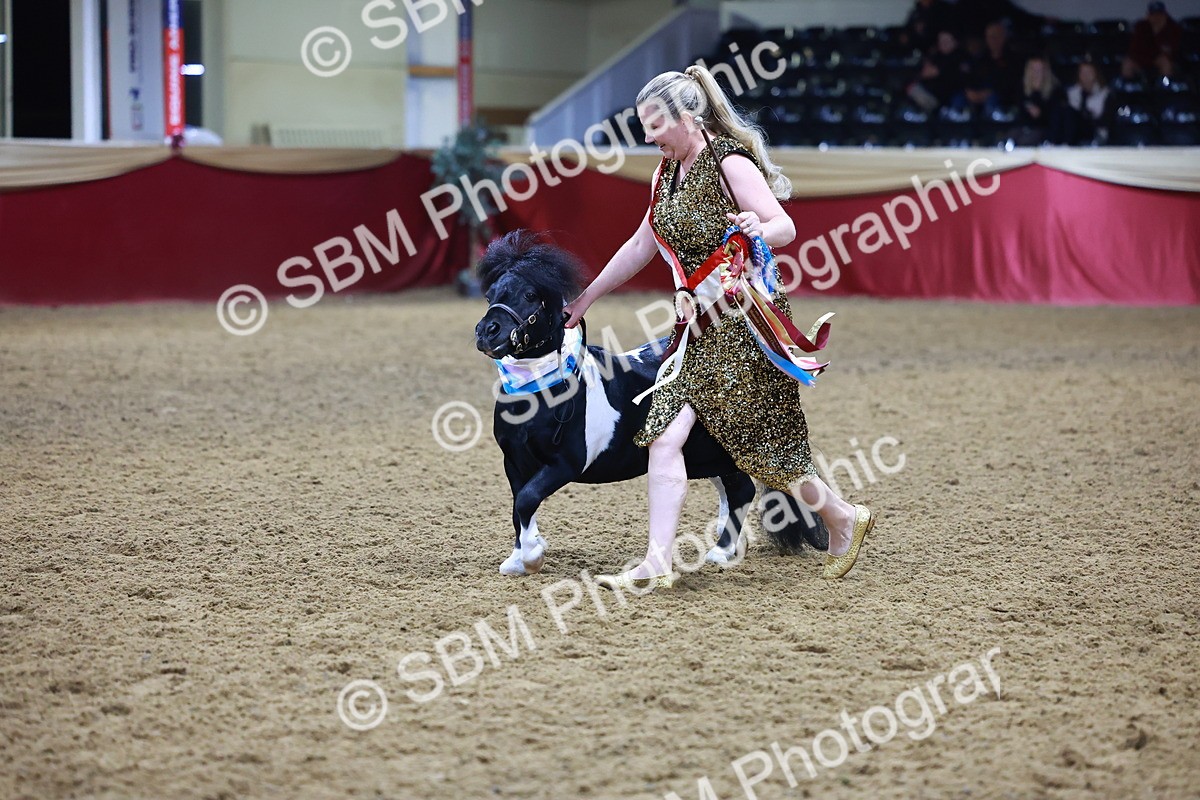 SBM_15342 - Class P - M&M Champ