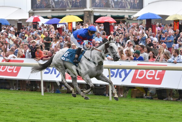 yr23072022r5-33 - Race 5 4.25pm Sky Bet UK's No1 Betting App Stakes