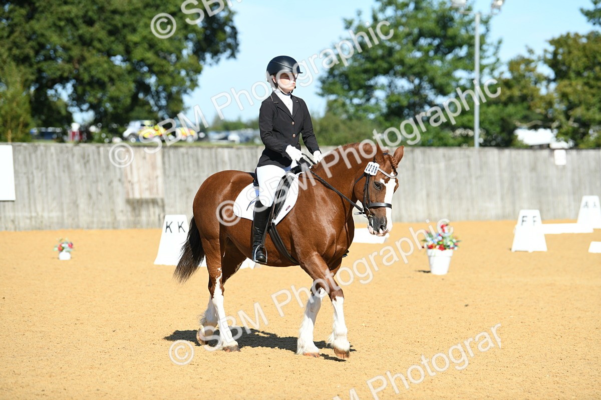 SBM_18042 - D4 - Small Tour Championship - Intro B