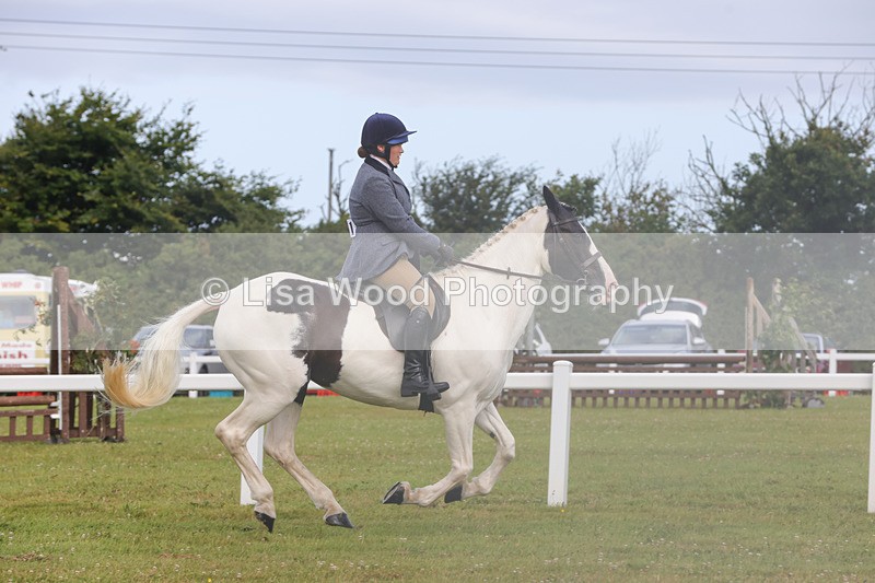 1X9A3073 - Class 26: Ridden Plaited Coloured Pony