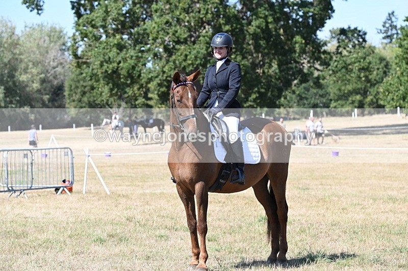 WJ6_8997 - Class 38 Ridden Riding Horse/Pony