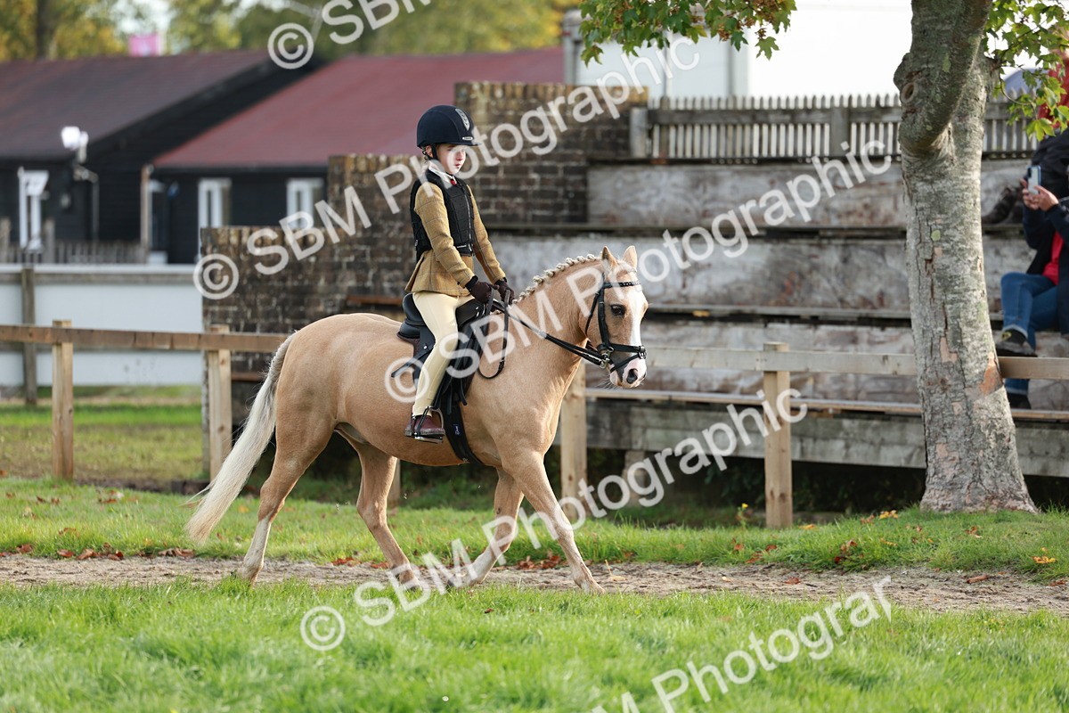 SBM_56325 - S39 - Starters In Hand Showing