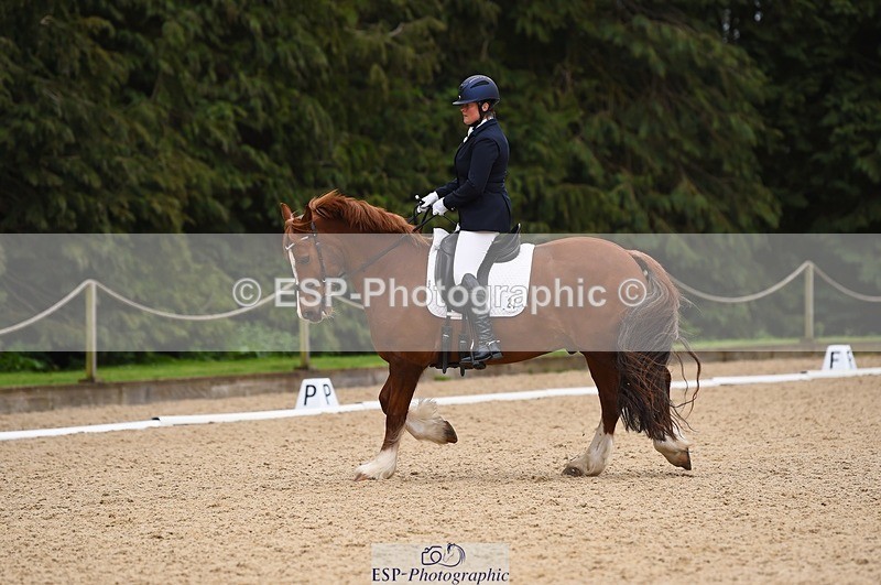 230426-111224-00407 - Cls 4 Novice 38Q Start to 11.30 break