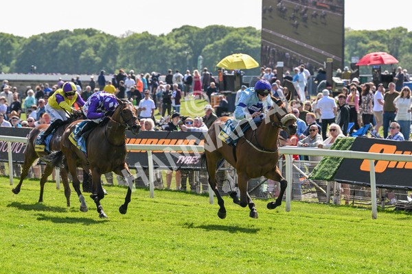 140525-Race 2-Rousing Encore-1808 - Race 2 2.42pm Churchill Tyres Handicap