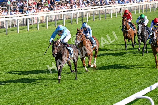 110725-Race 7-Secret Beach-0579 - Race 7 5.40pm William Hill Bet In Running Apprentice Handicap