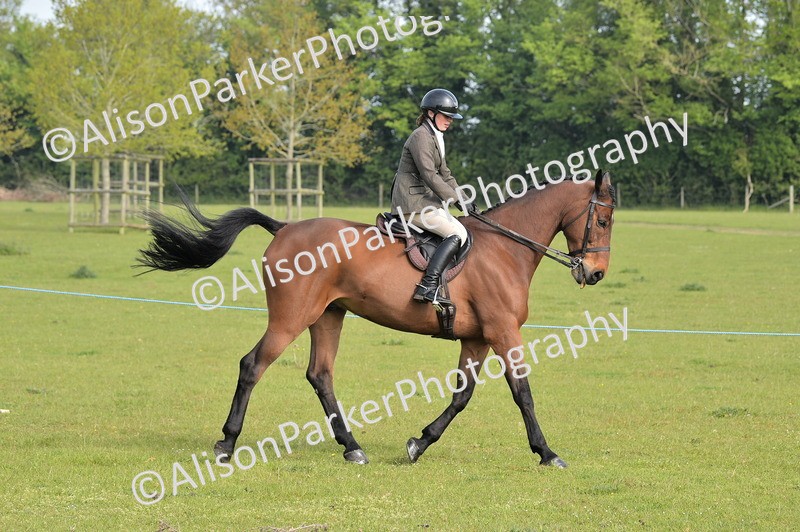 20260426-0876 - Class 18 - Novice Showing