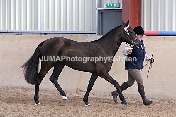 SIAL9265 - Indoor Classes