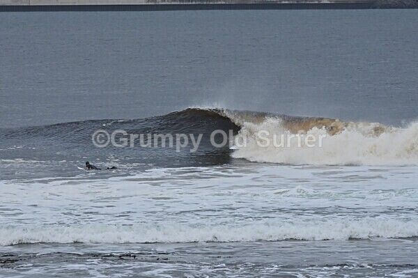 DSC_8803 - Thurso 6th November 2022