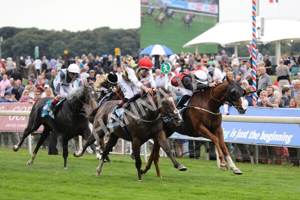yr18082022r3-22 - Race 3 3.00pm Clipper Logistics Stakes