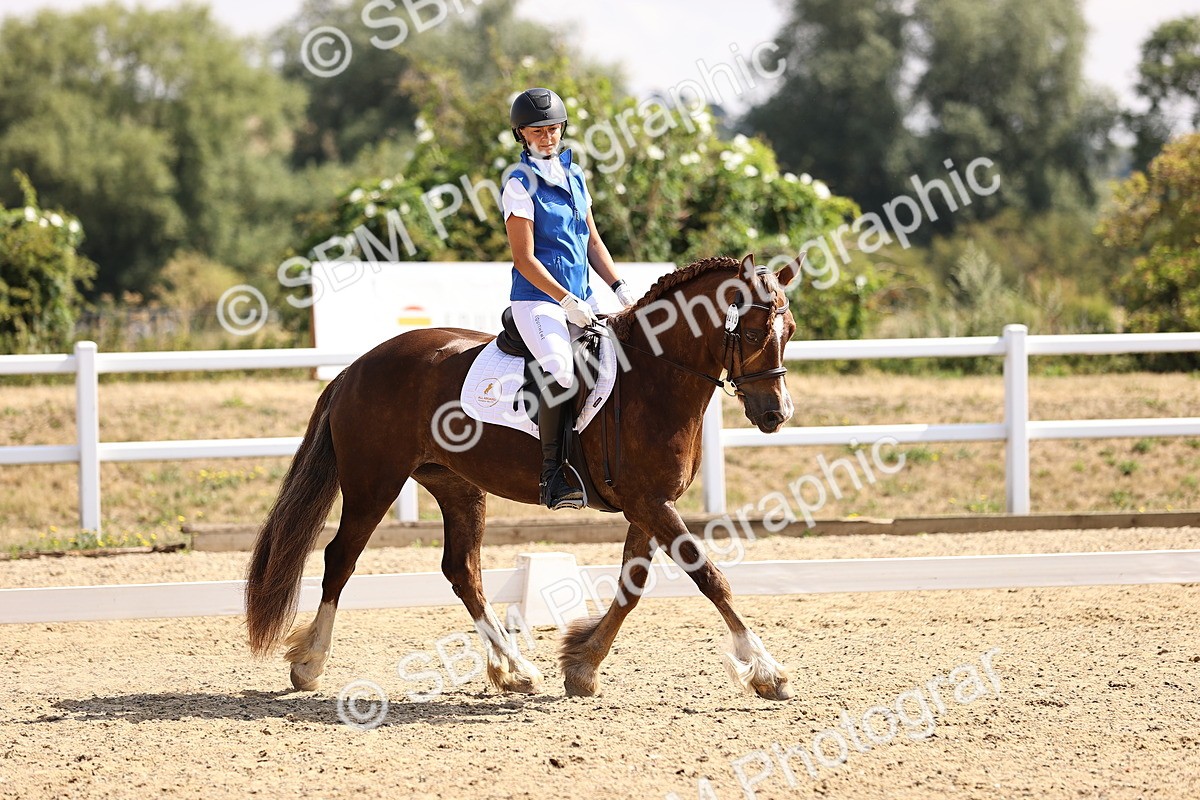 SBM_006533 - Intro 3 - 9.46-10.46