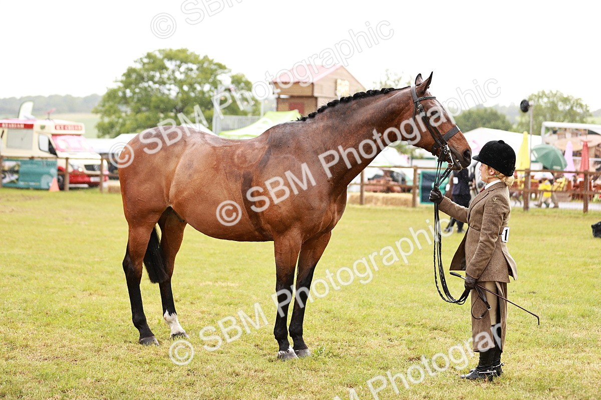 SBM_11003 - Class 81-84 - RIHS Ridden hunters Inc Ladies Hunter