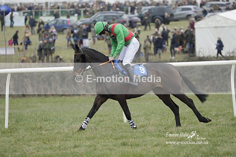 PtP 040323 296 - Duke of Beauforts Hunt Point-to-Point Didmarton 04/03/23