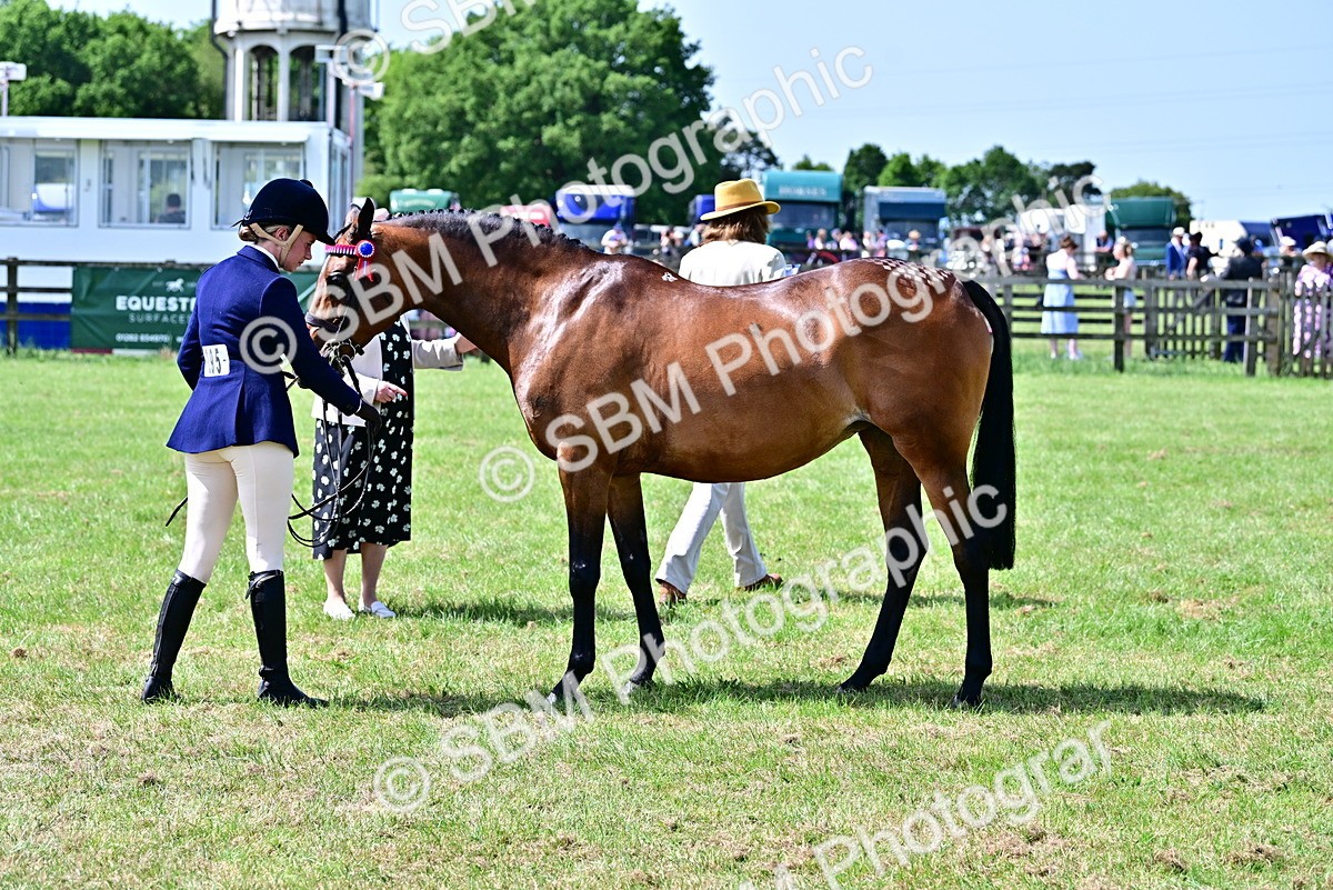 SBM_03859 - Class 58 - TSR  Ridden Veteran Amateur of the year