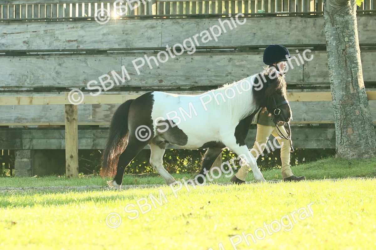 SBM_57339 - S37 - Starters In Hand Showing