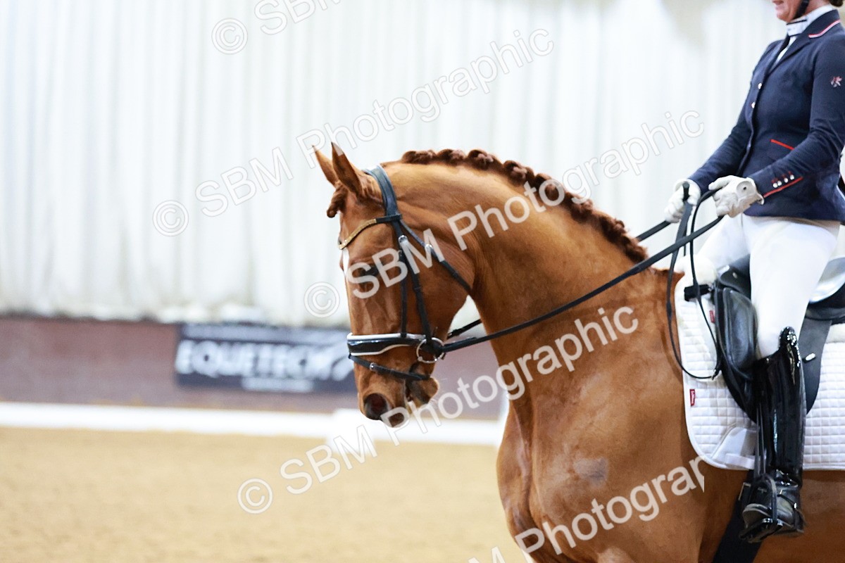 SBM_003396 - Class 5 - N6