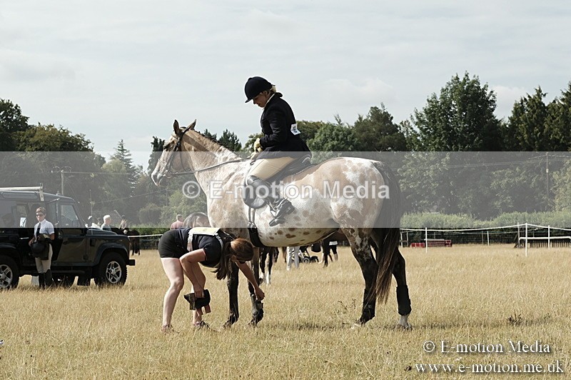 _PJP5697 - Dressage Classes BVRC Show 2018