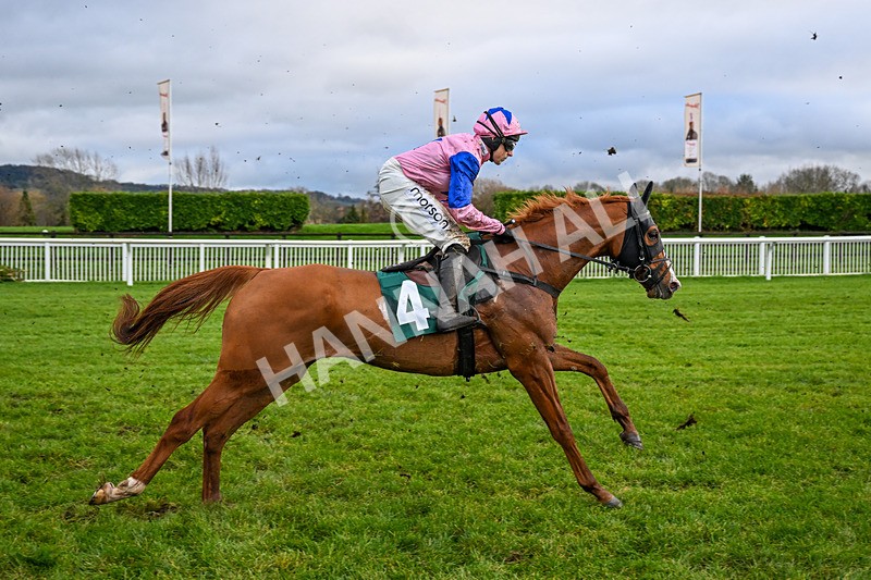 121225-Race 3-Fortune De Mer-5021 - Race 3