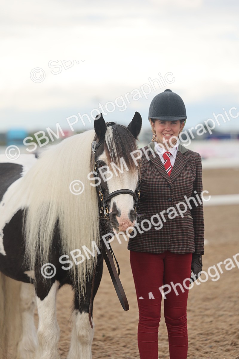 SBM_08519 - Class 29 - IH Veteran Pony