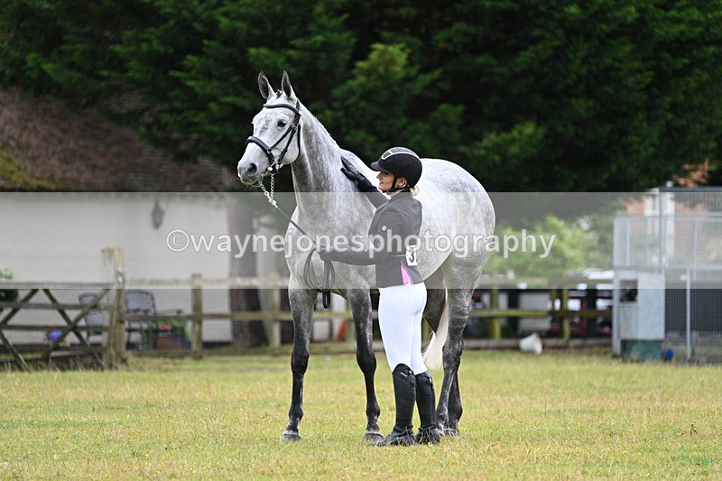 WJ7_6190 - Class 4a Prettiest Mare over 14hh
