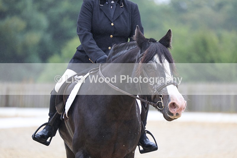 3E7A8117 - Class 1: Intro 3 2024 section A