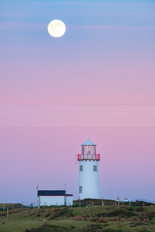 _MF26884 - Fanad Lighthouse