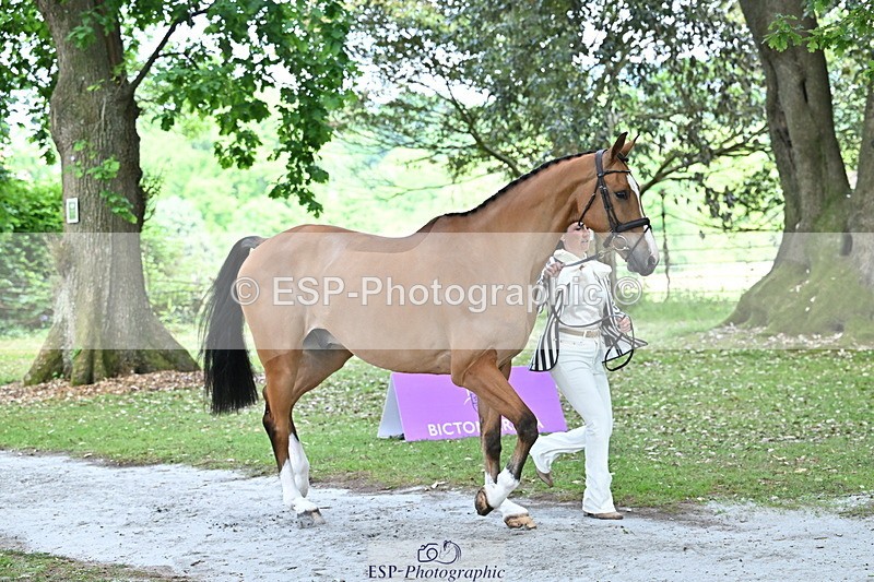 250521A-152943-00544 - B-321-Laura.Collett-BALANCERO