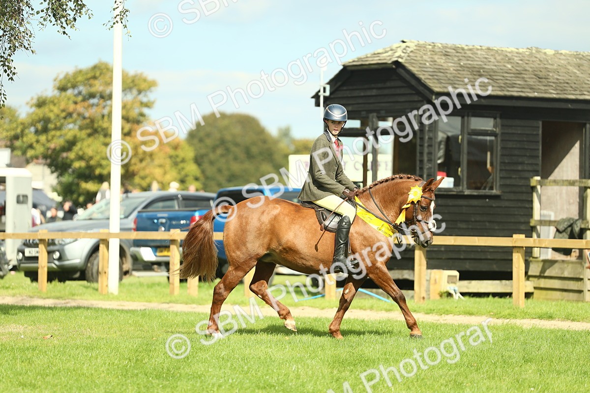 SBM_44911 - Working Hunter Pony Supreme Championship