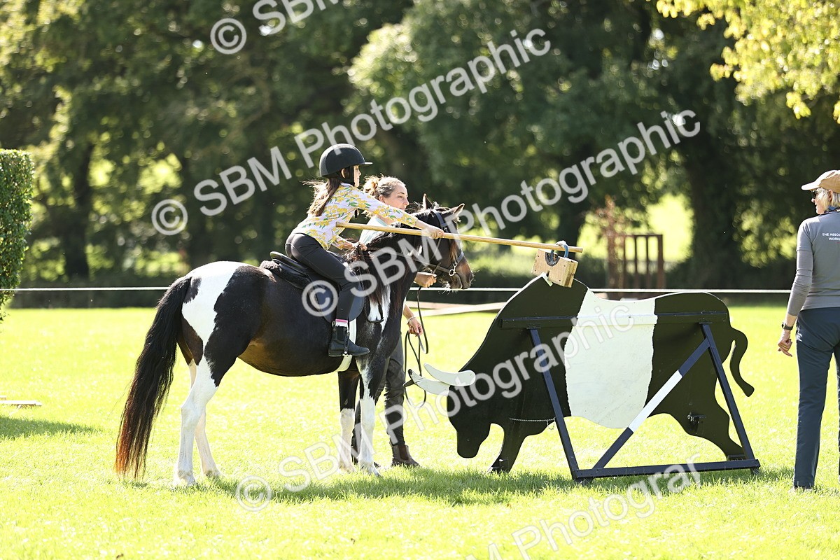 SBM_22988 - S4 - Have a Go at Working Equitation
