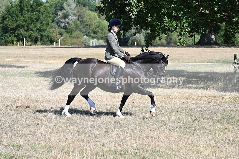 WJ7_3709 - Class 9 Mountain & Moorland Ridden