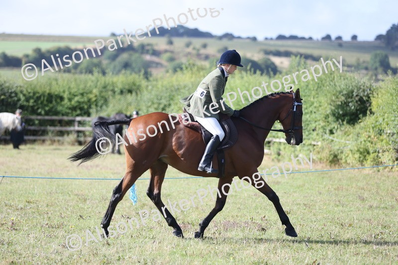 20250831-0840 - Class 14 - Ex Racehorse