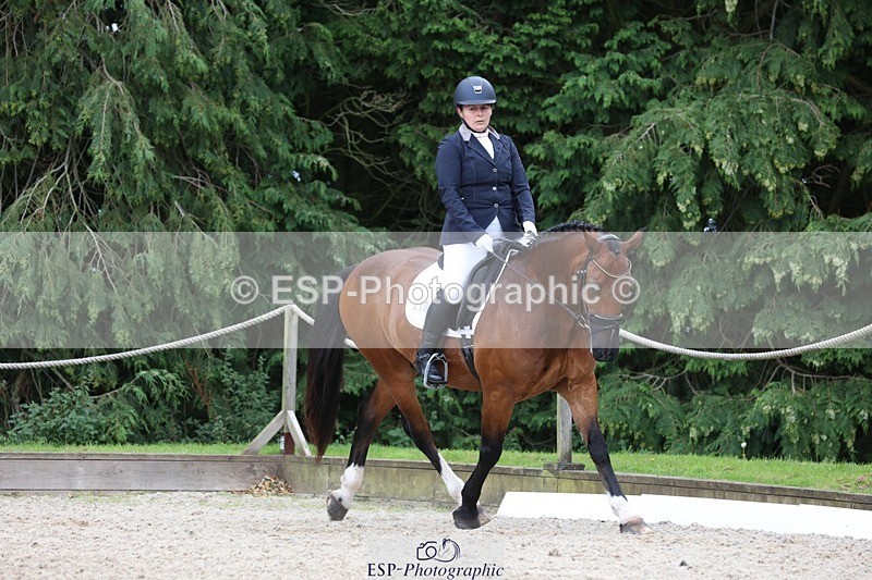 230812-142956-04438 - Cls 5 Novice Bronze 13.40 to 14.45 break