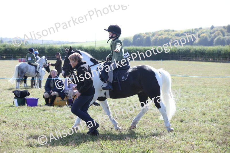 20250831-2499 - Class 16 - Family Pony