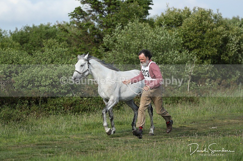 SPXX0150 - Friday vetting
