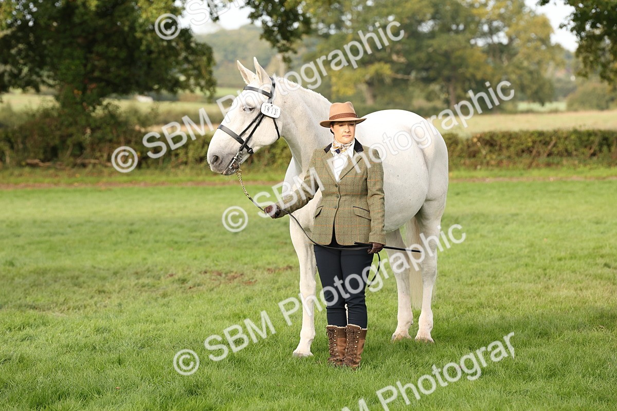 SBM_54709 - S53 - Hunter In Hand