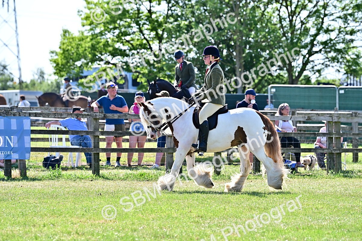 SBM_19439 - Class 101-102 - BSPS LIHS Performance Coloured Horse/Pony