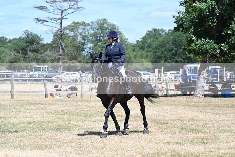 WJ7_2922 - Class 7 Riding Club Show Horse
