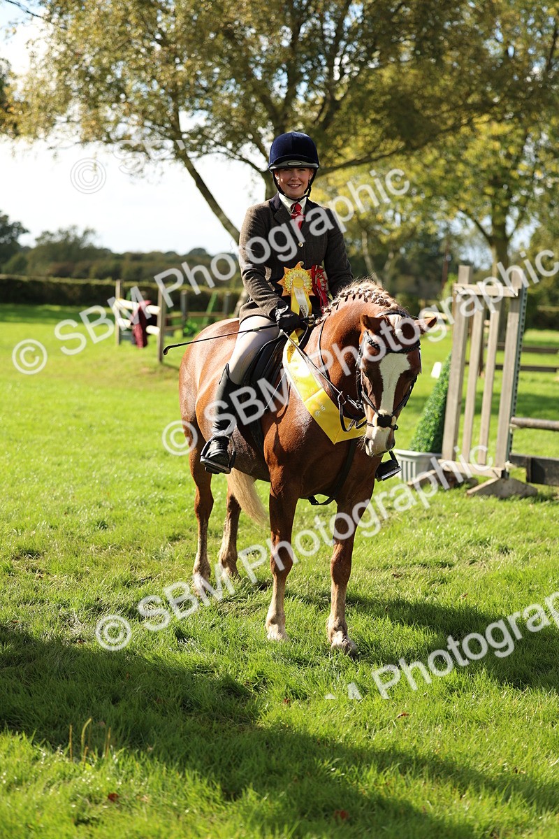 SBM_46407 - Working Hunter Pony Supreme Championship