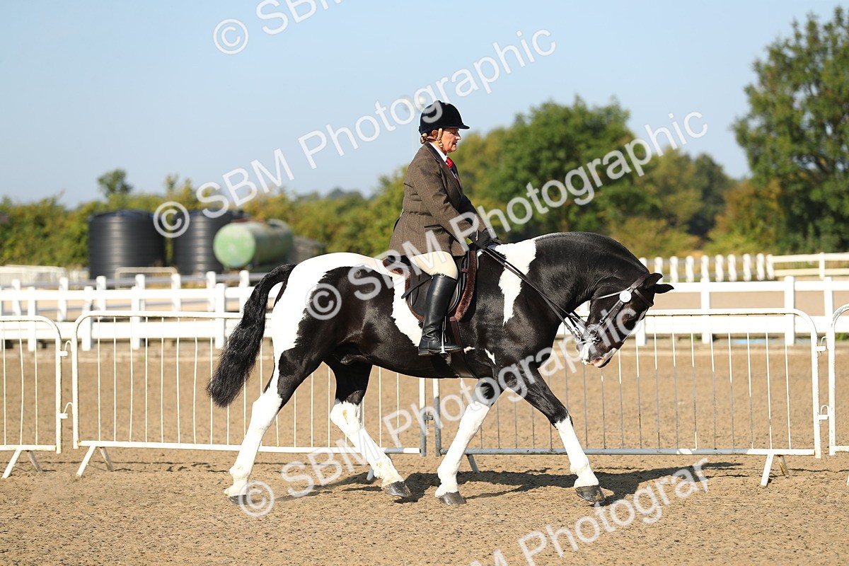 SBM_01111 - Class 42 Ridden Veteran