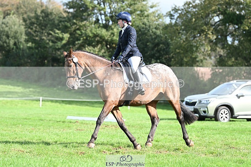 231020-115707-07954 - 482-ODDSPOT.VITAL.ELEMENT-Danielle.Davies-DR