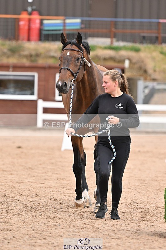 250716-152632-01949 - Trot Up 2.30 to 3.30