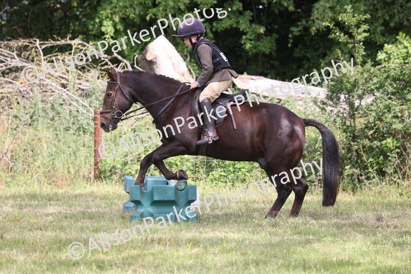 20260614-0515 - Class 20 - Beginners Working Hunter Pony