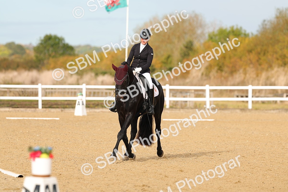 SBM_009369